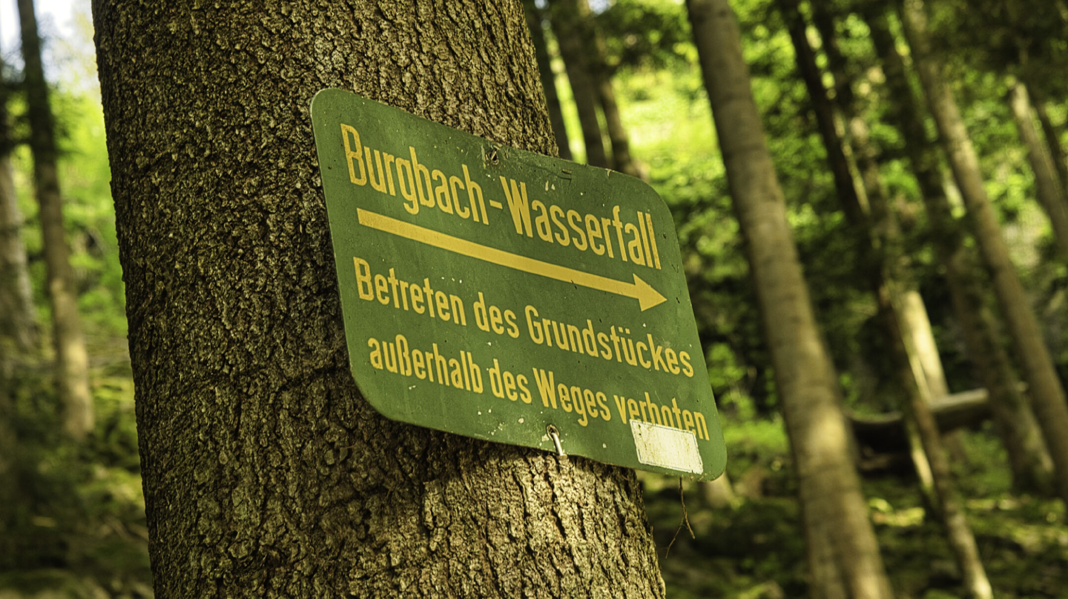 Burgbachwasserfall