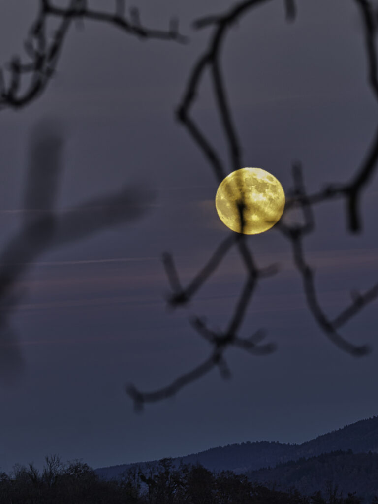 Bibermond, Vollmond über Lörrach