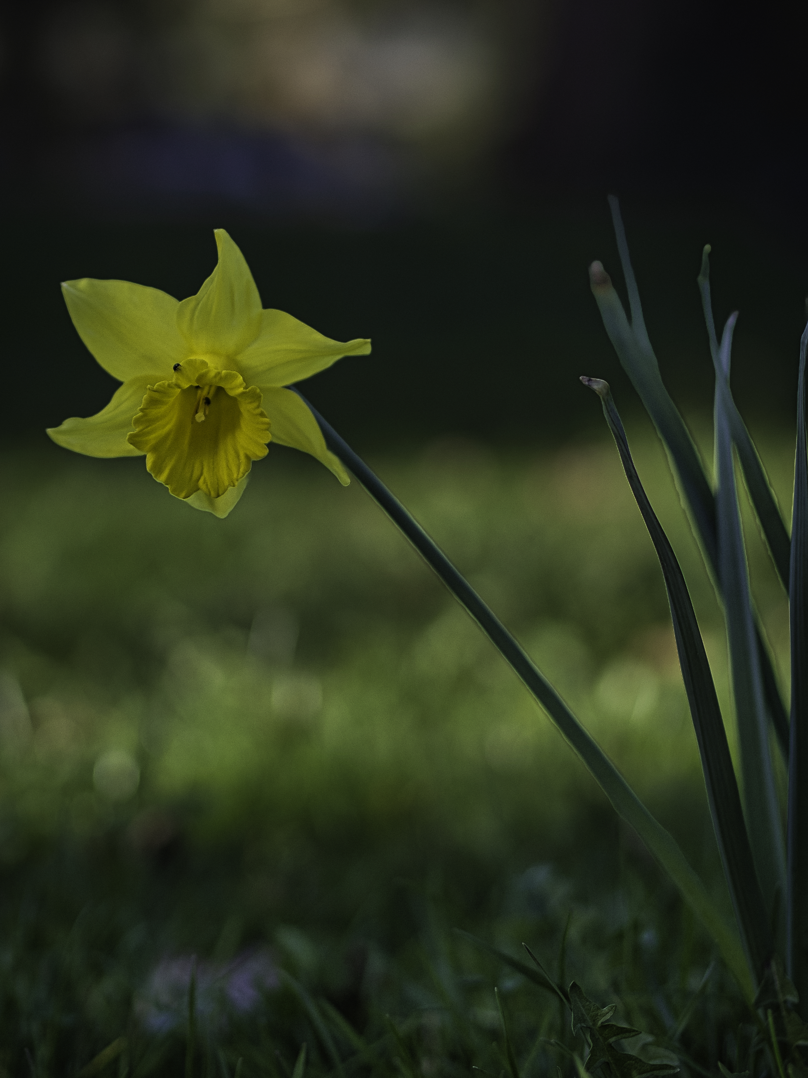 12 von 12 im MRZ 2026 – Alltag im Frühling